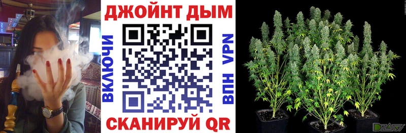 Бошки Шишки ГИДРОПОН  Купить  Алупка 